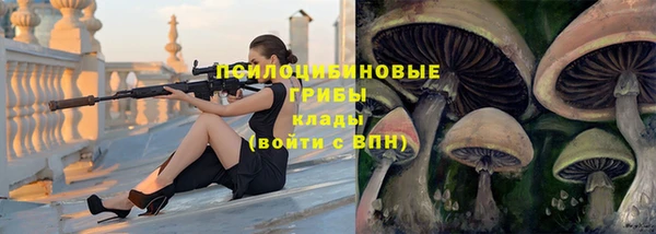 mdpv Армянск