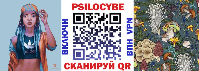 дарнет шоп  Рыбное  Псилоцибиновые грибы Cubensis 